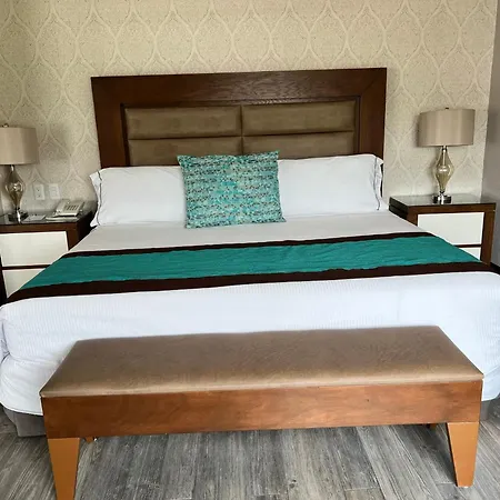 Áurea Hotel&Suites-2